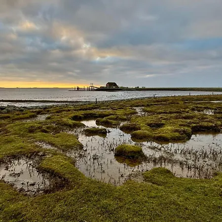 Prázdninový dům Niels Hus *