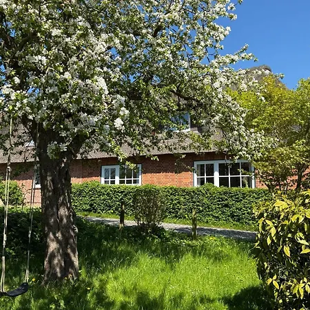 Niels Hus Dagebüll